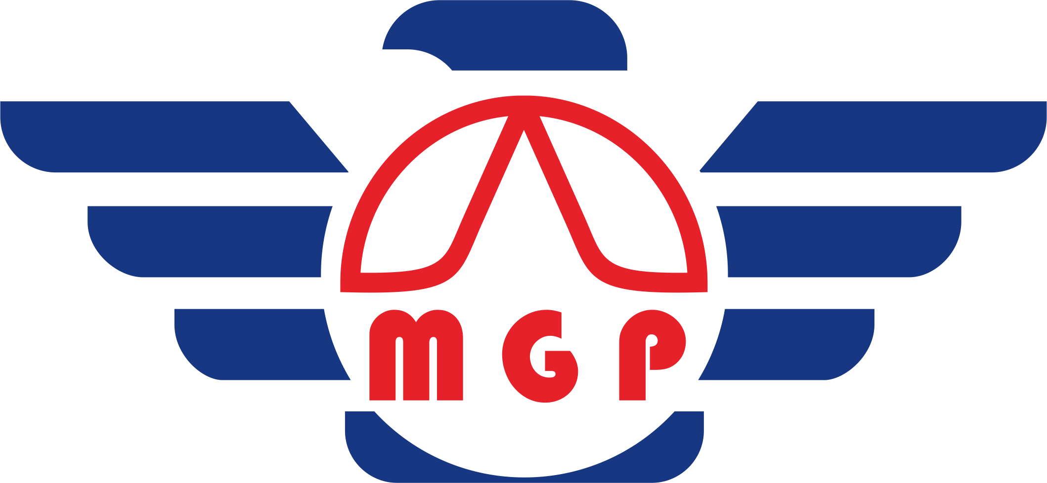 PT Multi Global Perkasa